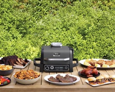 Ninja Woodfire Outdoor Grill Review Shopping Food Network
