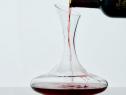 Food Network™ Signature 4-pc. Crystal White Wine Glass Set