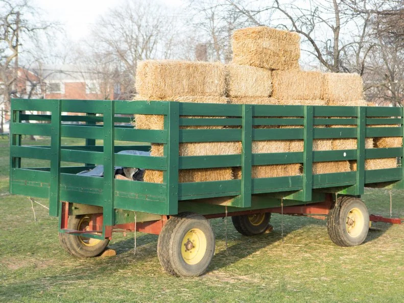 Queens County Farm and Museum, as seen on Food Network's Chopped, Grill Masters Special.