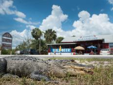 Not only can you dine on alligator at this Everglades eatery, but you may just see a live one sauntering past. In addition to gator nuggets, you can feast on delicacies like frog's legs, crab cakes and Indian fry bread. Take a seat on the patio for some gator spotting, or head indoors for live music.