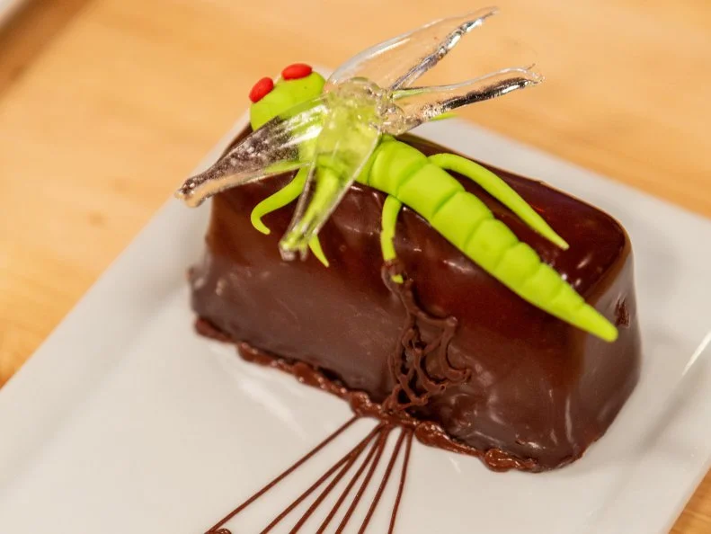 Contestant Lyndsey McDonald's completed dish from the pre-heat challenge, Blood orange chocolate mousse with a creepy dragonfly, as seen on Food Network's Halloween Baking Championship Season 4.