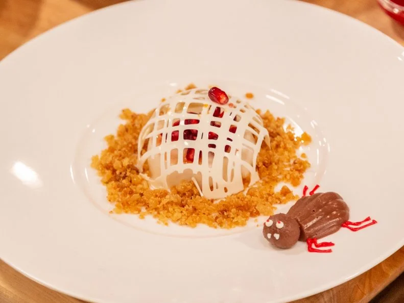 Contestant Lyndsy McDonald's completed dish from the main heat challenge, Cocoanut streusel with a key lime coconut custard disc and cayenne pomegranate bug eggs with raspberry pomegranate cayenne sauce melting white chocolate cage, as seen on Food Network's Halloween Baking Championship Season 4.