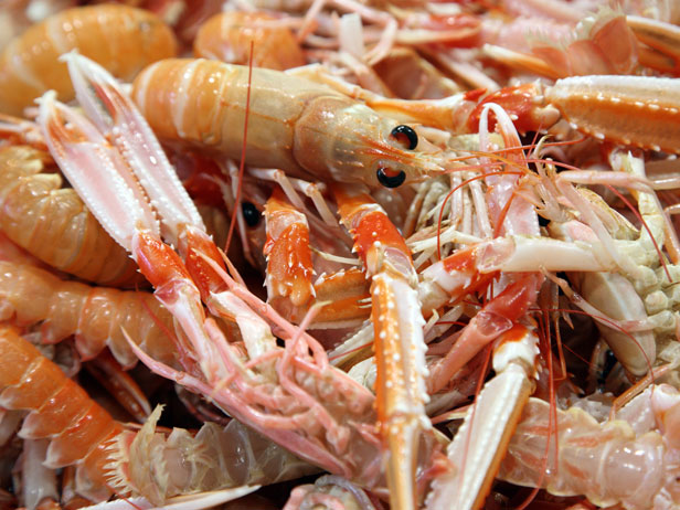 Everything You Need to Know About Langoustines, FN Dish - Behind-the-Scenes,  Food Trends, and Best Recipes : Food Network