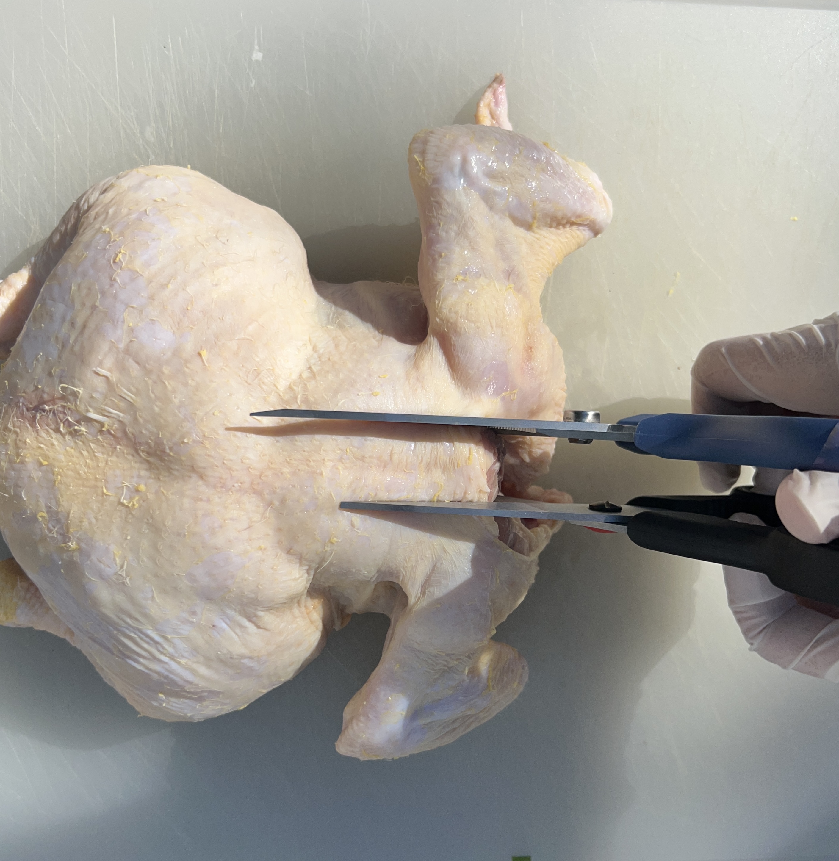 https://food.fnr.sndimg.com/content/dam/images/food/unsized/2023/09/FN_kitchen-shears-test-chicken_unsized.jpg
