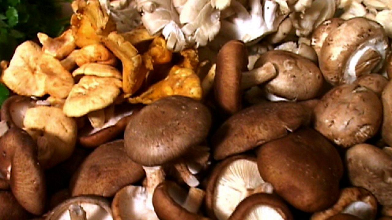 Wild Mushroom Spring Rolls