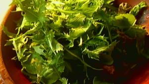 Green Salad With Vinaigrette