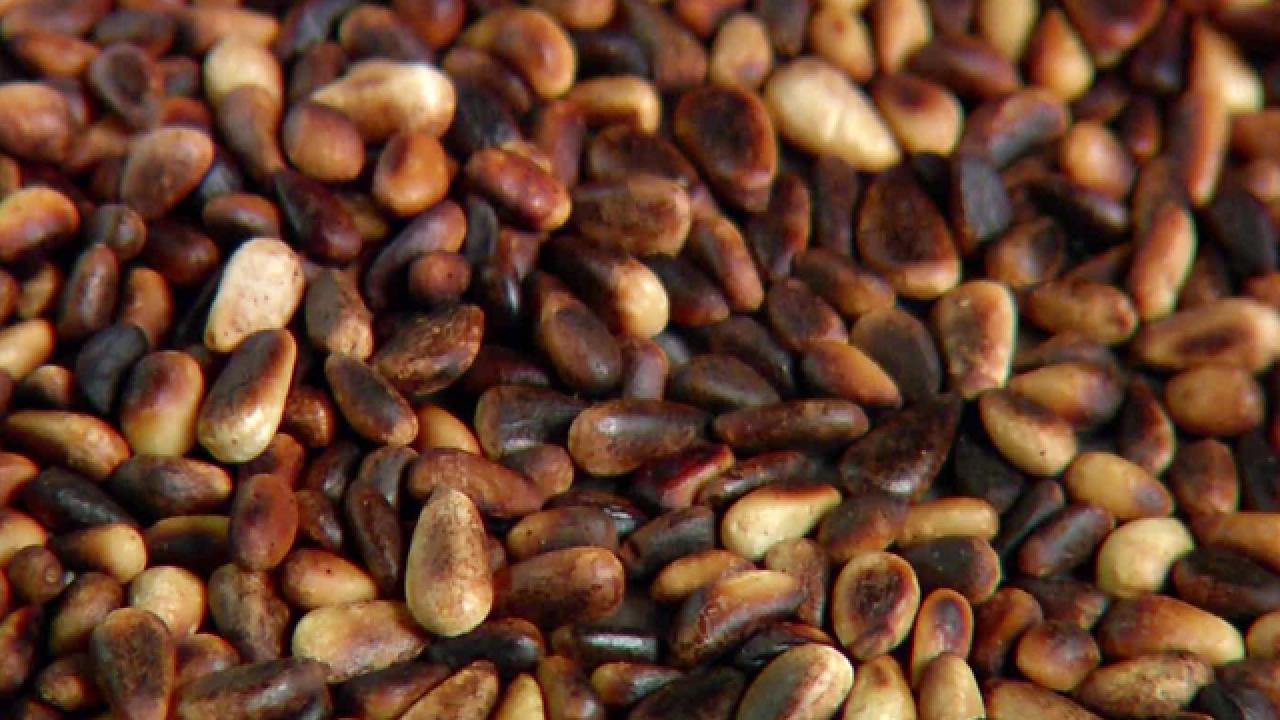 Alton: Pine Nut Primer
