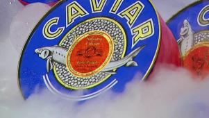 Flay vs. Knibb: Caviar