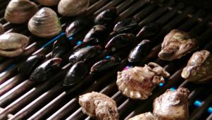 Grill Clams, Oysters & Mussels