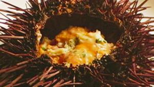 Aida Mollenkamp: Sea Urchin