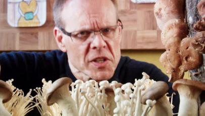 The Fungal Saute-image