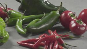 All About Hot Peppers