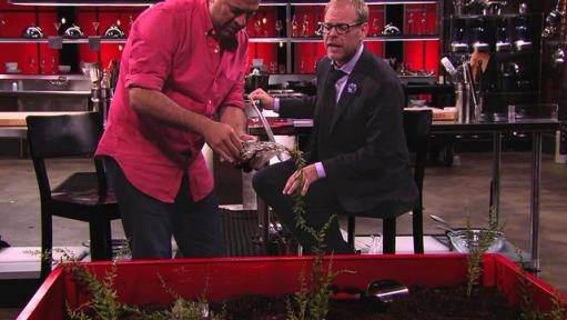 Alton's Dream Cutthroat Kitchen Sabotages Revealed, FN Dish -  Behind-the-Scenes, Food Trends, and Best Recipes : Food Network