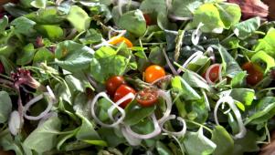 Nancy's Spring Greens Salad