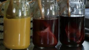 Tieghan's Natural Fabric Dyes