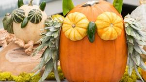3 Ideas for No-Carve Pumpkins