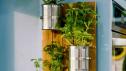 Indoor Herb Garden