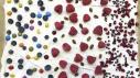 Frozen Yogurt Bark