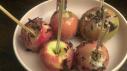 Hibiscus Caramel Apples