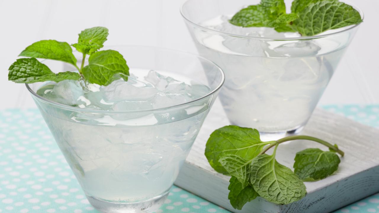 Vodka Mojito