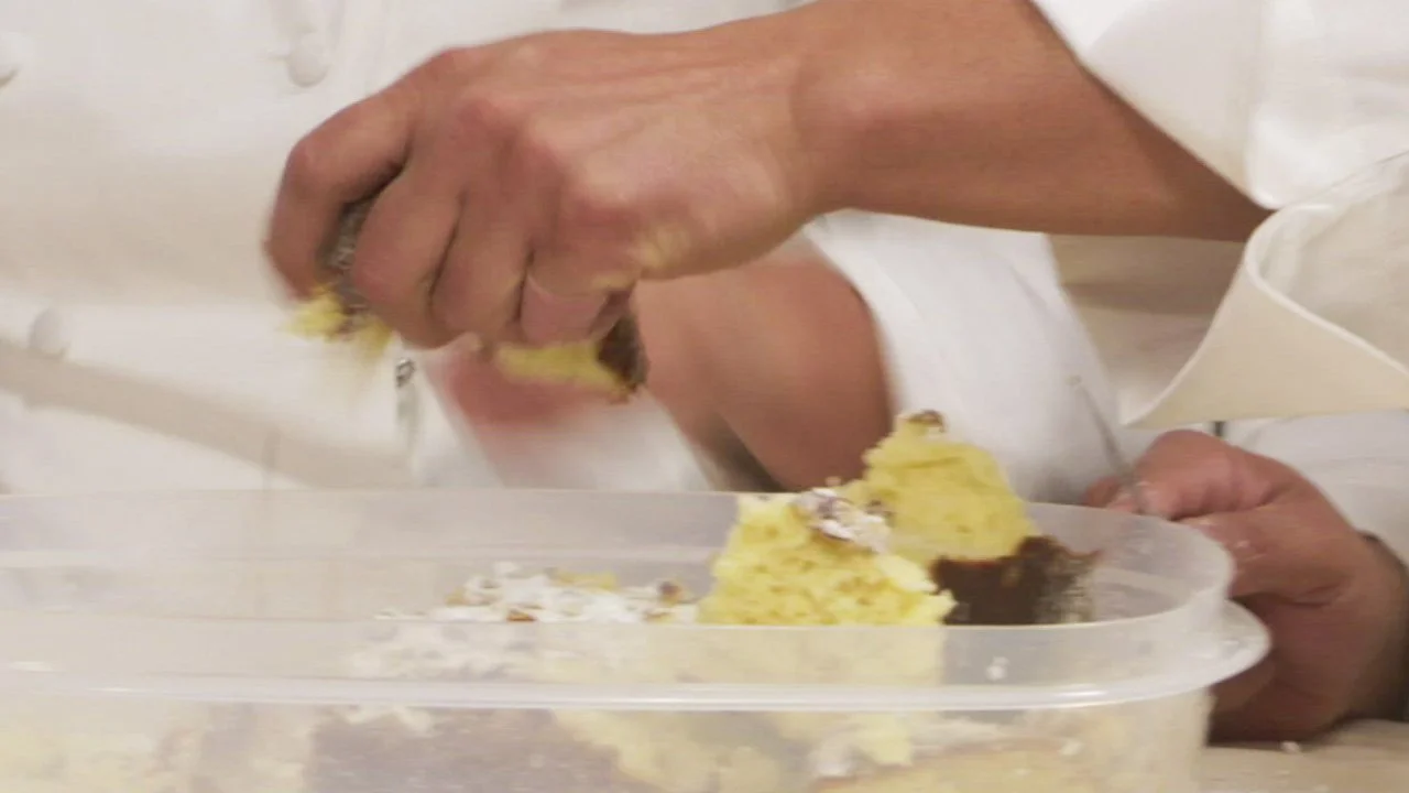 Worst Cooks Casting Video
