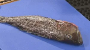 Skill Drill: Fillet a Sea Bass