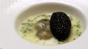 Oysters & Pearls With Cat