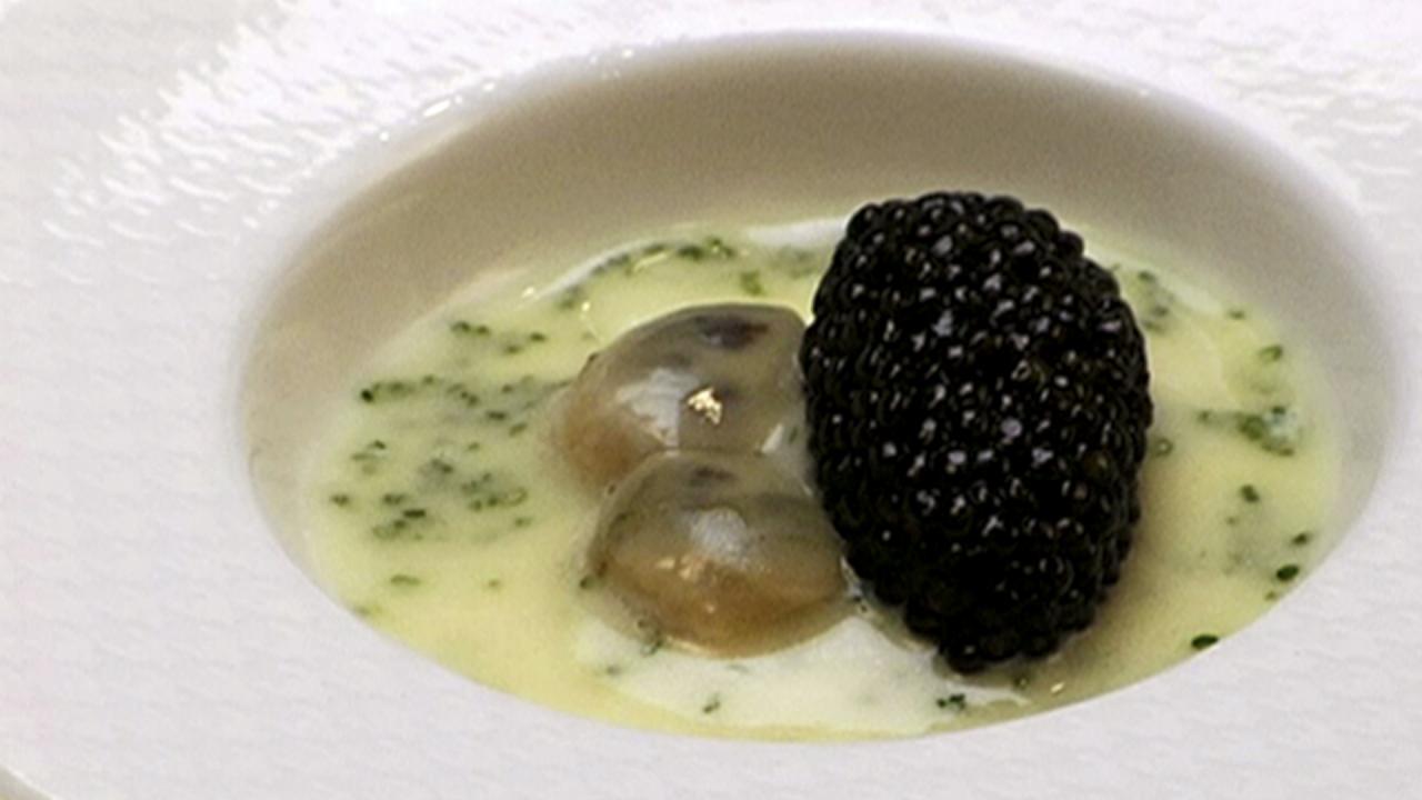 Oysters & Pearls With Cat