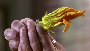 Zucchini Blossom Tomato Salad