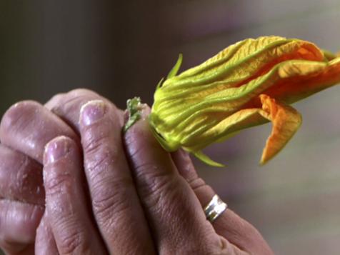 Stuffed Zucchini Blossoms with Heirloom Tomato Salad