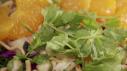 Grilled Bok Choy Salad