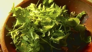 Green Salad With Vinaigrette