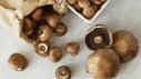 Cleaning and Storing Mushrooms
