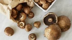 Cleaning and Storing Mushrooms