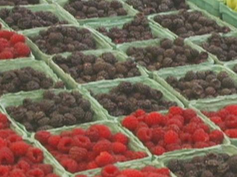 Summer Fruits and Berries