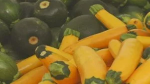 Alex's Top Summer Vegetables