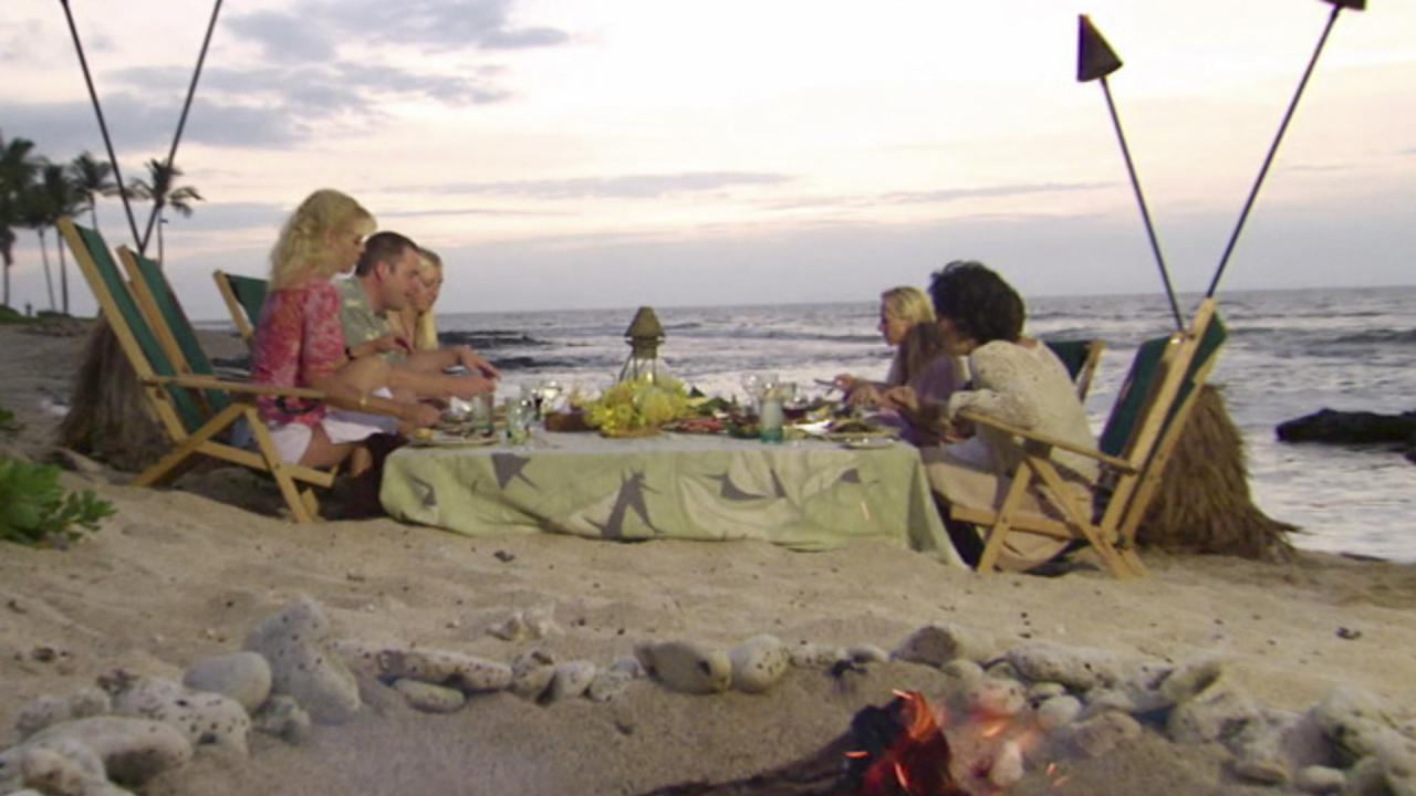 Oysters on the Beach