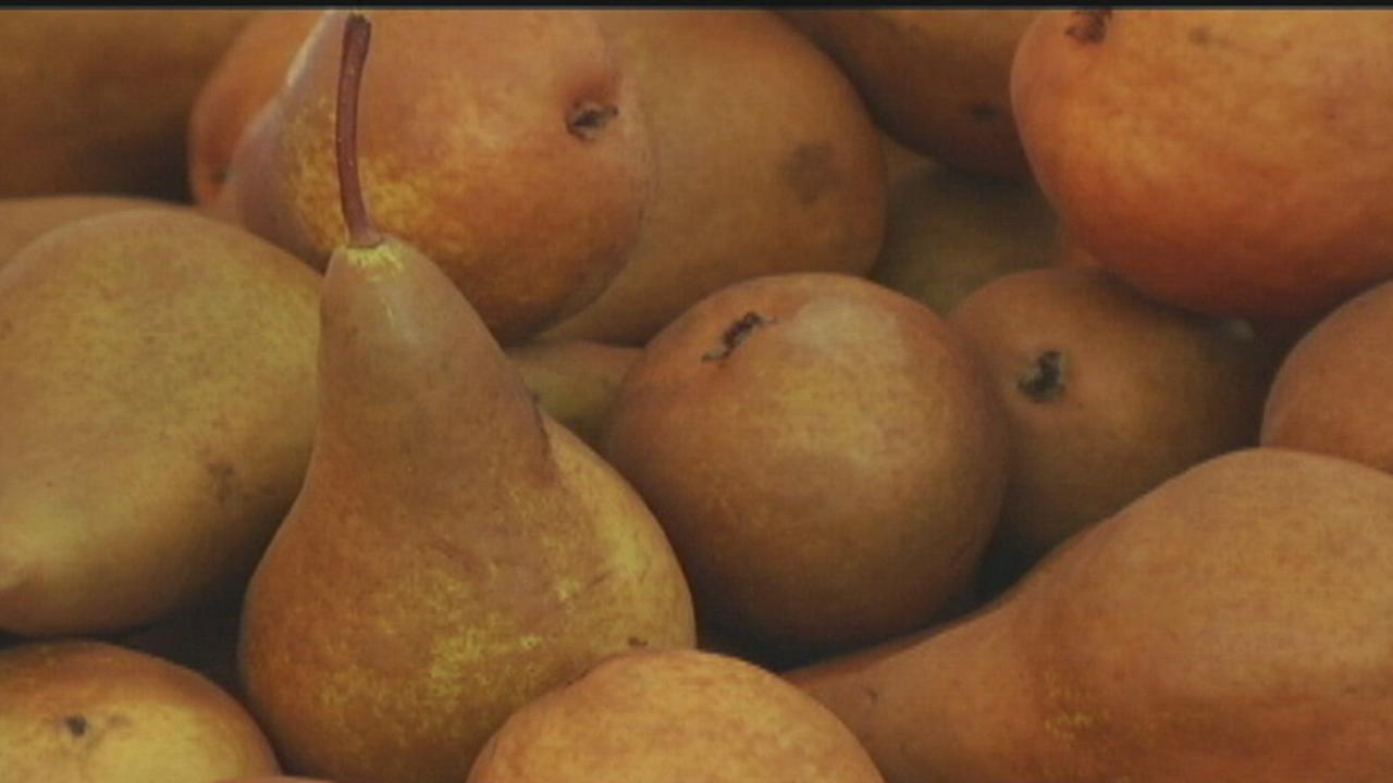 Fall Fruit Guide