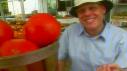 Choosing Tomatoes