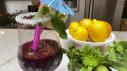 Blueberry Lemonade Slushies
