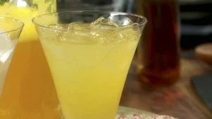 Mixed Citrus Spritzer