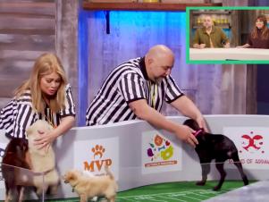 This image has been distributed to our partners.