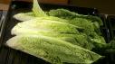 Blue Cheese Grilled Romaine