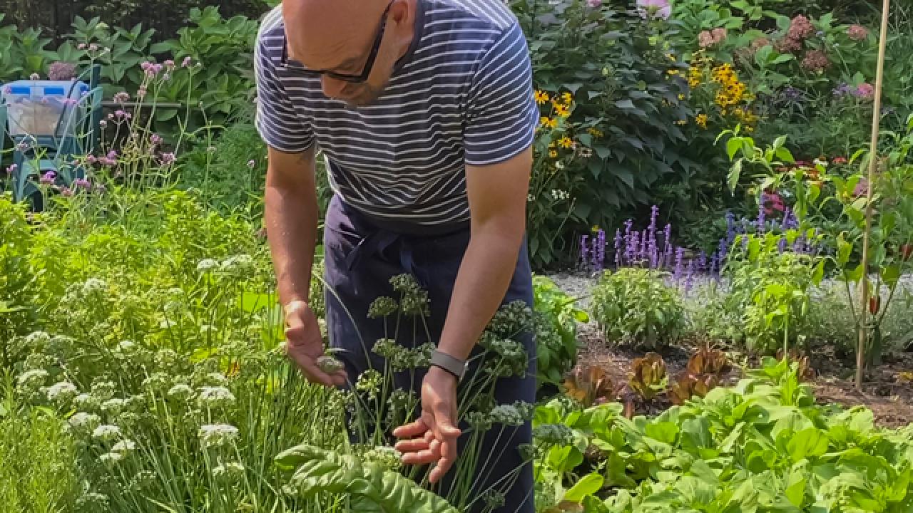 How to Cook with Chives