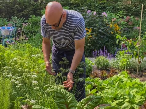 How to Cook with Chives