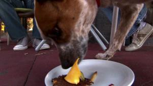 Barking Lard BLT