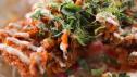 Nashville Hot Chicken Taco