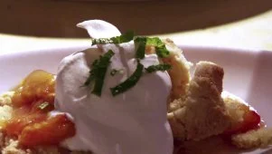 Apricot Nectarine Shortcake