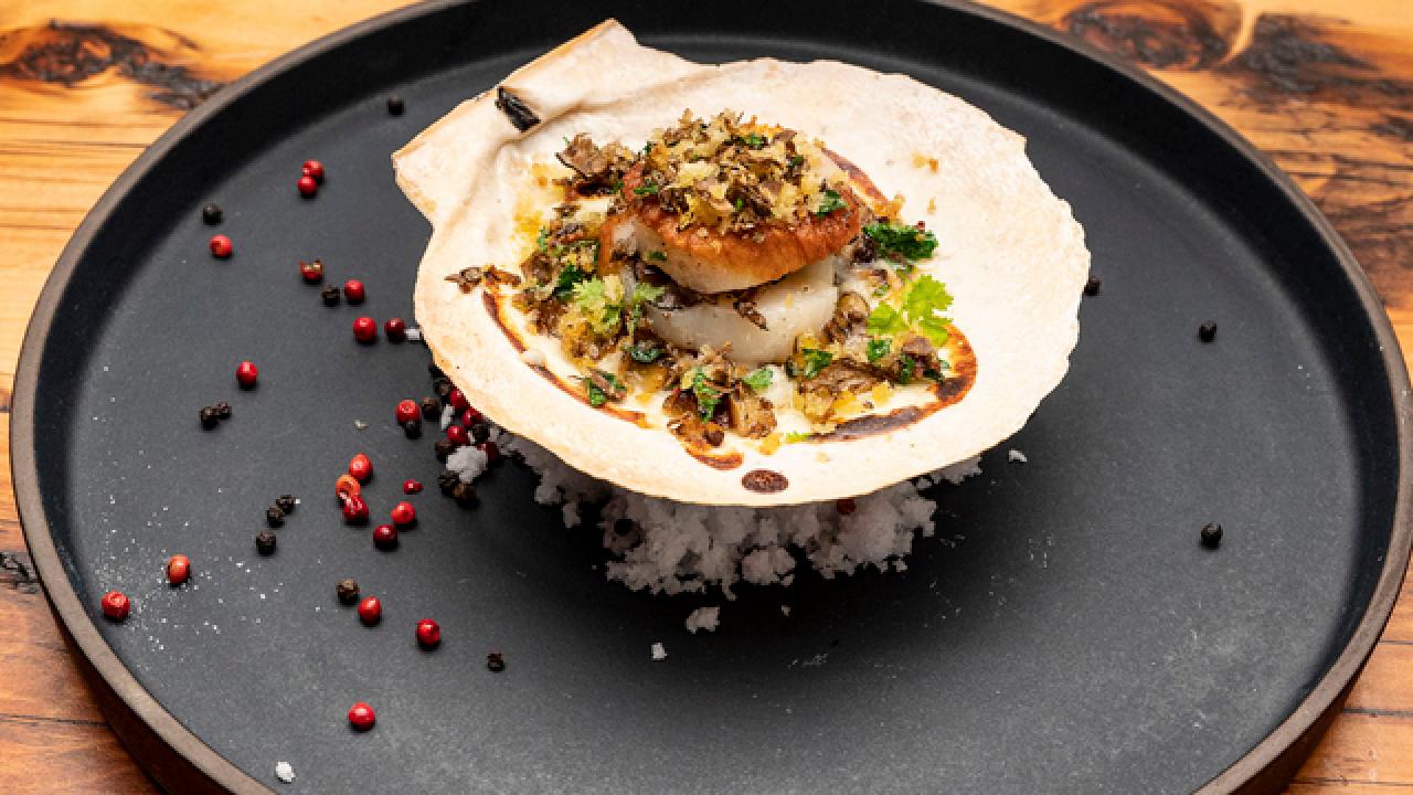 Coquilles Saint-Jacques