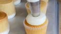 Flat Top Cupcakes